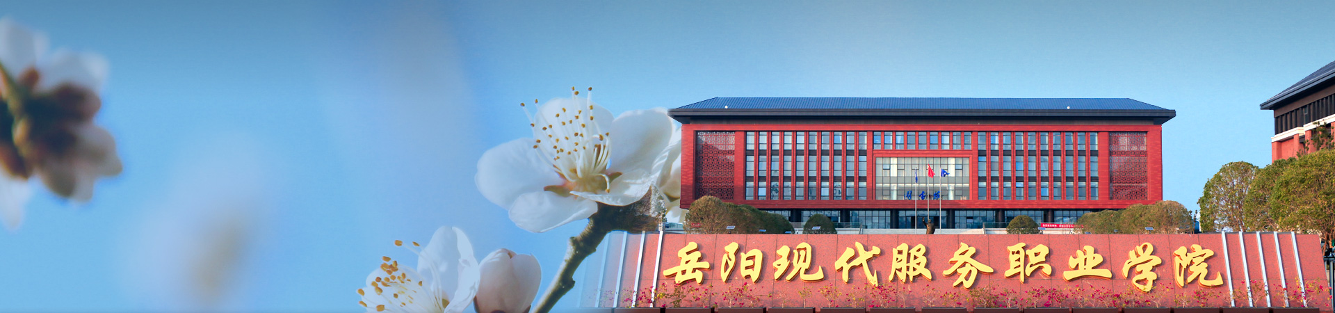 校园动态